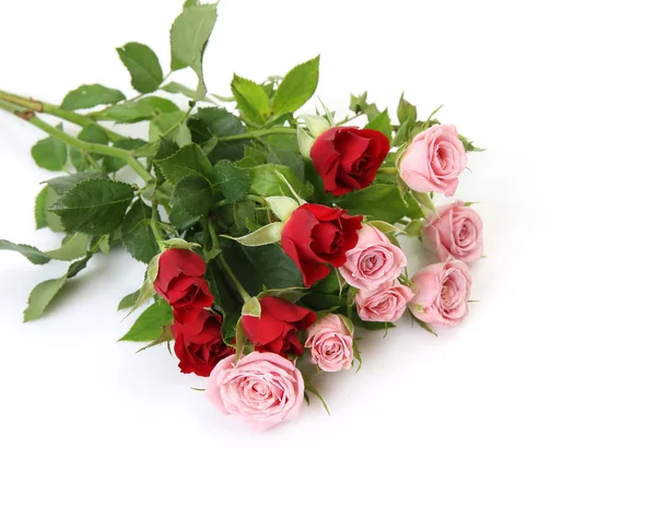 Bouquet Rose Sfondo Bianco — Foto Stock