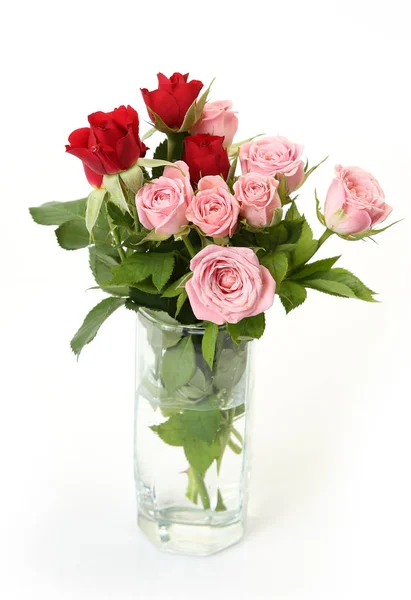 Букет роз на белом фоне — стоковое фото