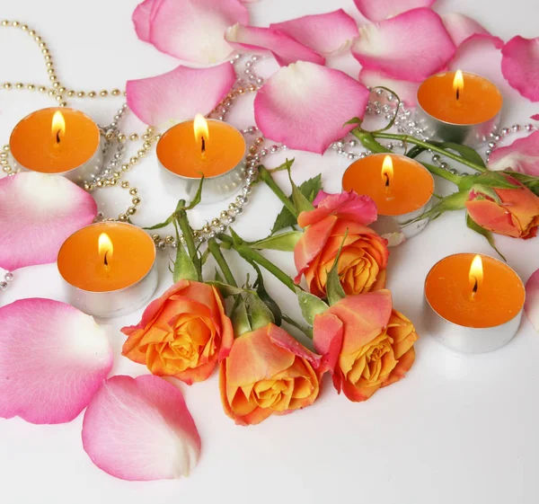 Vackra blommor och ljus — Stockfoto
