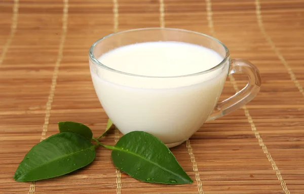 Detalle Una Taza Leche — Foto de Stock