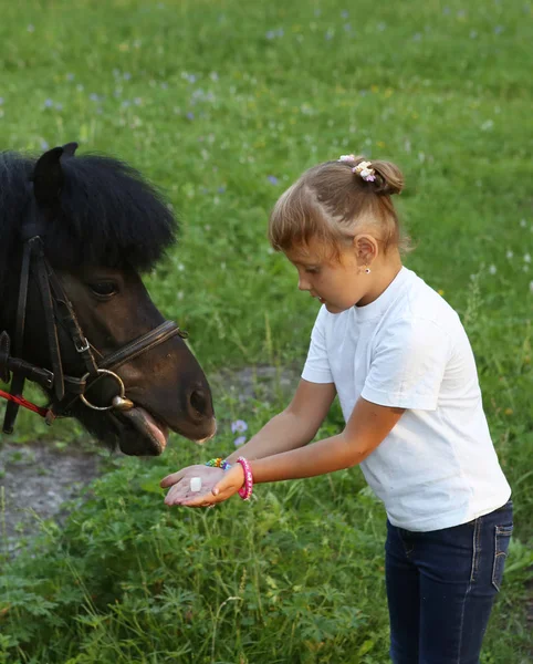  küçük kız ve siyah midilli