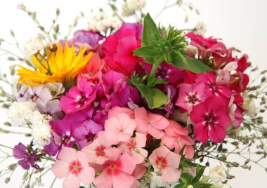 çiçekler beyaz zemin üzerinde bir cam Grup