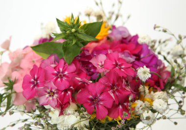 Beyaz arkaplanda çiçekler