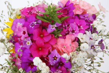 Çok renkli kır çiçekleri buketi