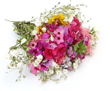 Çok renkli kır çiçekleri buketi