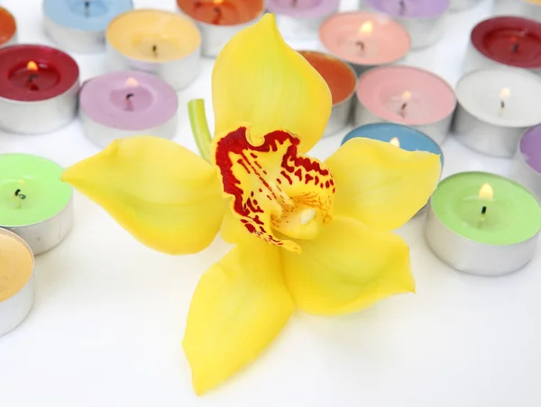 Velas queimando coloridas e uma orquídea amarela — Fotografia de Stock