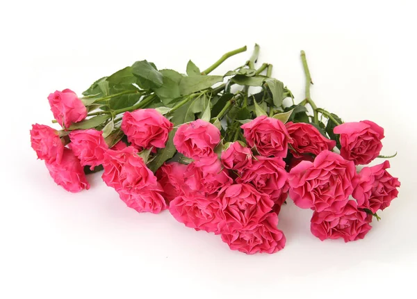 Ramo de rosas rosadas — Foto de Stock