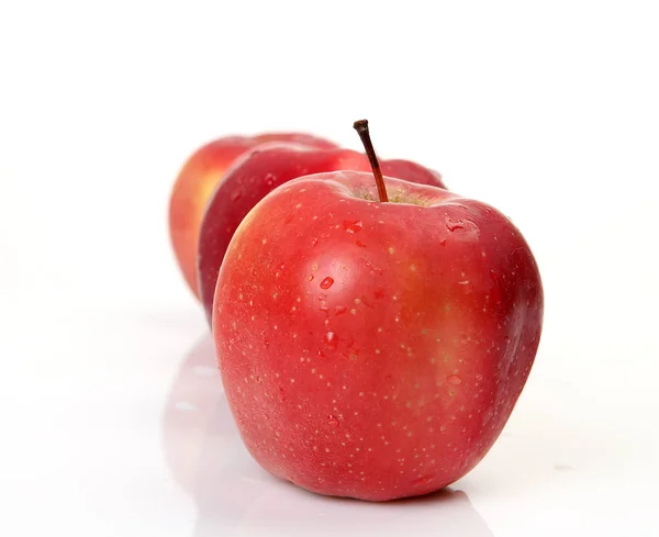 Mogna äpplen på en vit bakgrund Stockfoto