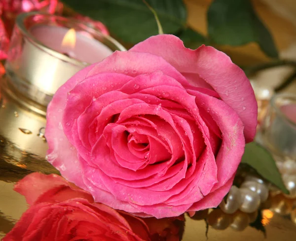 pink rose on a gold background