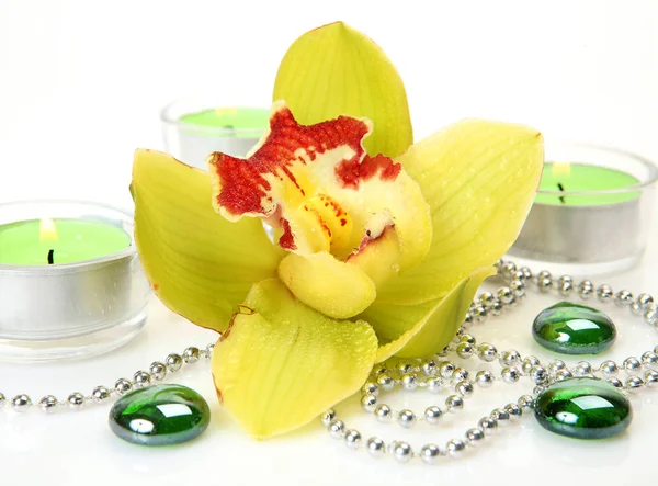 Yellow Orchid Candle — Stock Photo, Image