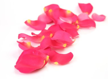 Pembe gül yaprakları