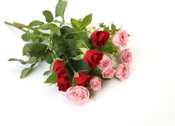 Букет роз на белом фоне — стоковое фото