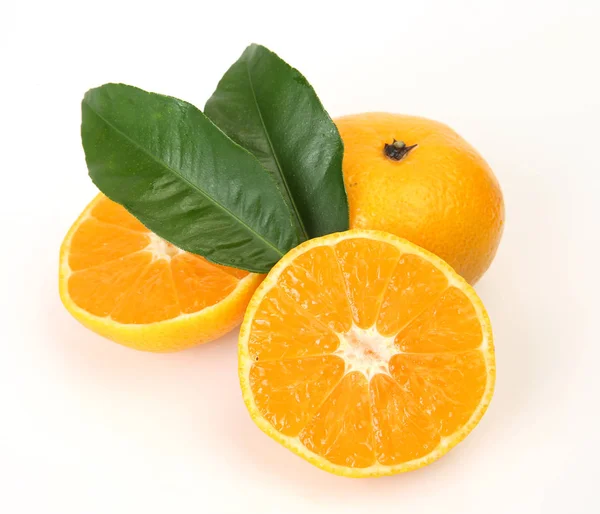 Ripe tangerines on a white background — Stock Photo, Image