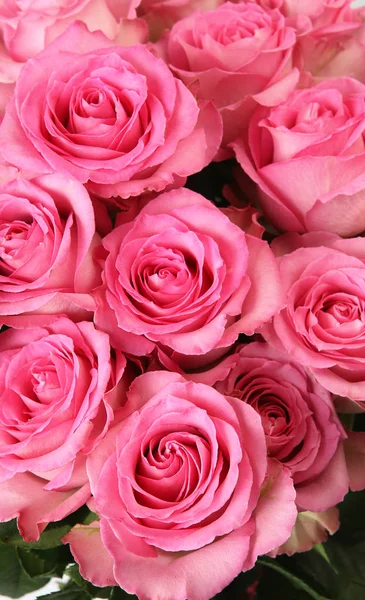 아름다운 분홍빛 꽃다발 스톡 이미지