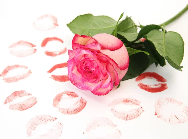 粉红色的玫瑰和唇印 — 图库照片