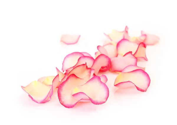Petali Rosa Sfondo Bianco — Foto Stock