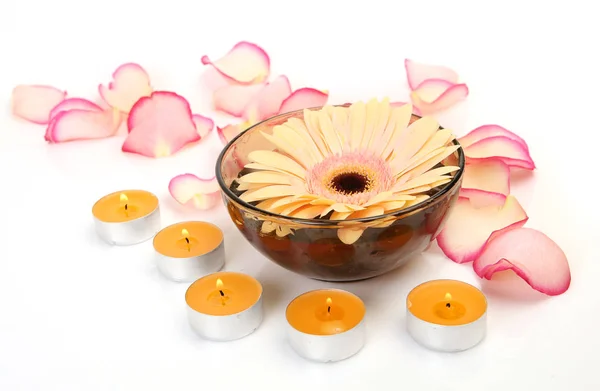 Rose Petals Burning Candles — Stock Photo, Image