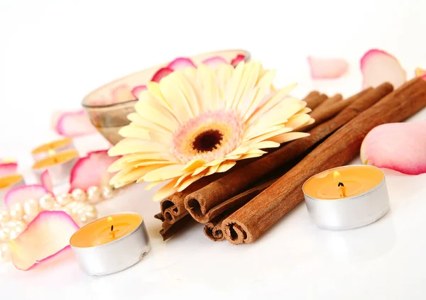 Flower Burning Candles — Stock Photo, Image