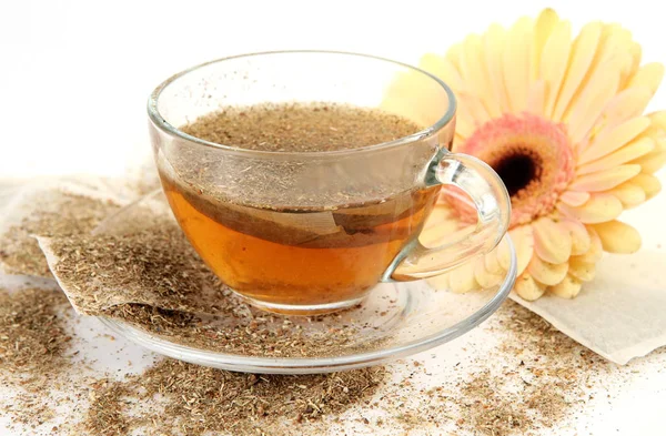 Τσάι Βοτάνων Μια Κούπα — Φωτογραφία Αρχείου