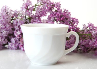 leylak ve bir kupa çay ile bir dalı