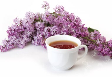 leylak ve bir kupa çay ile bir dalı