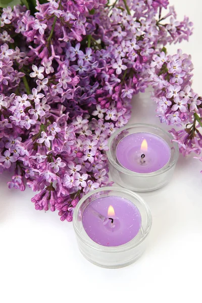 Vackra Blommor Och Ljus — Stockfoto