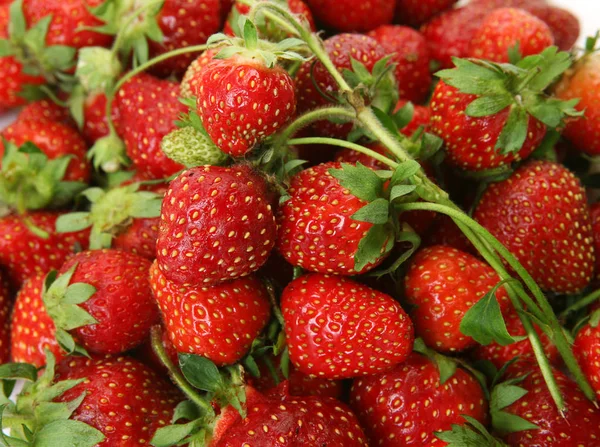 成熟草莓健康饮食 — 图库照片