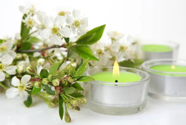 Blooming apple and candle — Stock Photo, Image