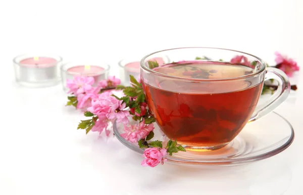 Flor de cereja e chá — Fotografia de Stock