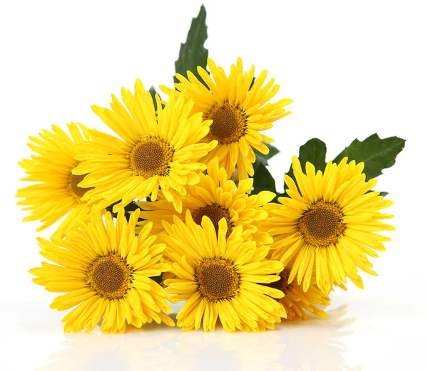 Strauß Gelber Blumen Auf Weißem Hintergrund — Stockfoto