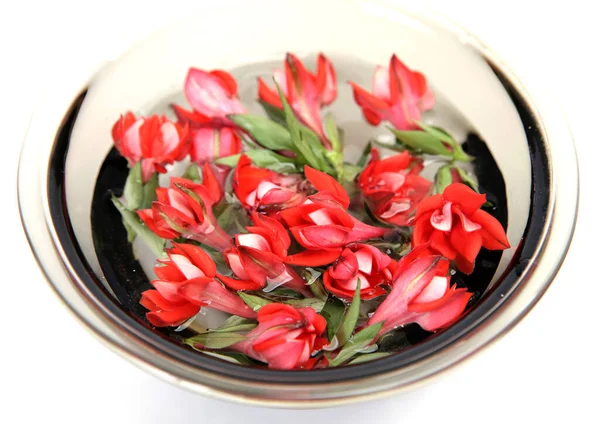 Fleurs Rouges Flottant Dans Une Tasse — Photo