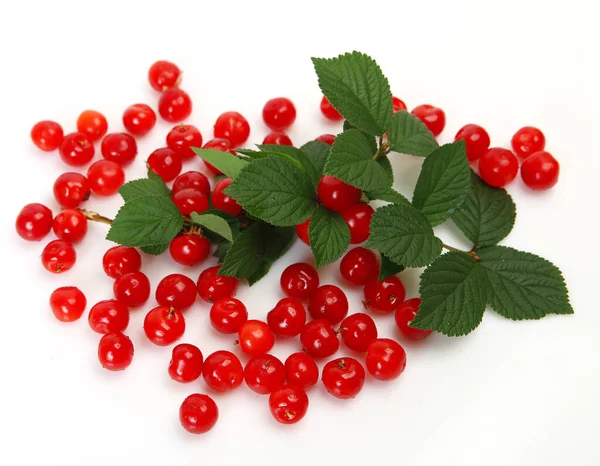 Röda Mogna Körsbär Och Gröna Blad Vit Bakgrund — Stockfoto