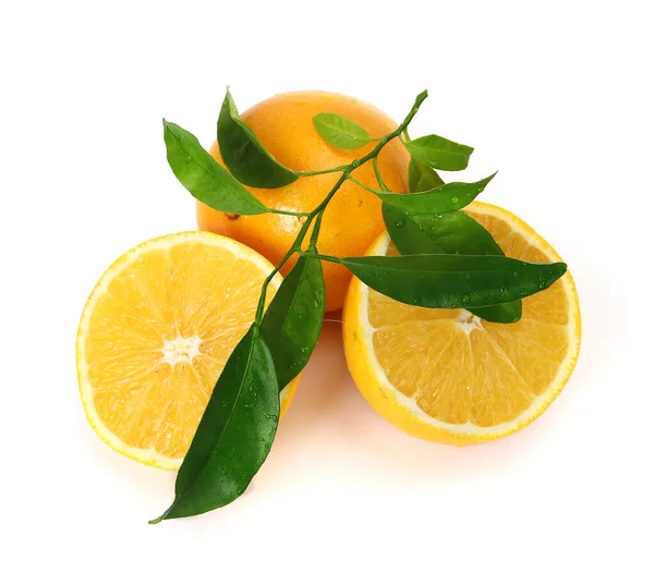 Sliced Ripei Orange Slices White Background — Stock Photo, Image