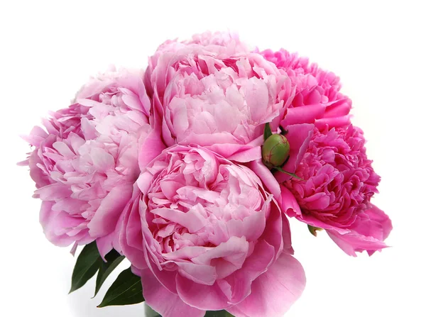 Bouquet Peonie Rosa Fiorite — Foto Stock