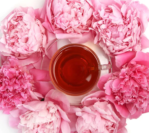 Chá Uma Caneca Peônias Rosa — Fotografia de Stock