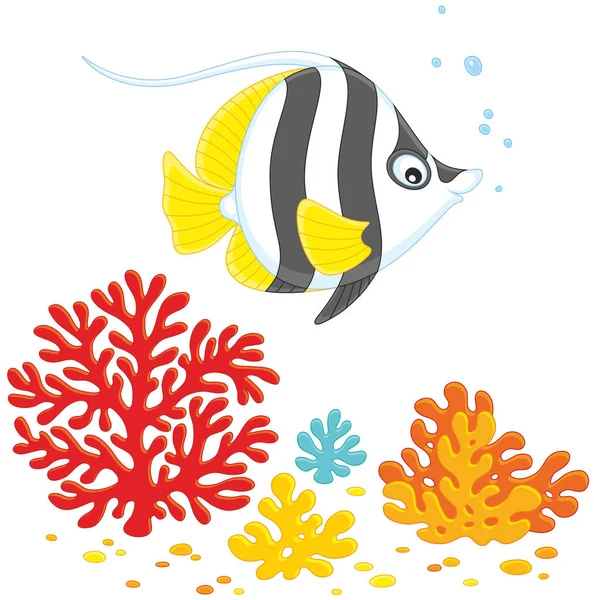 Coral fish on a reef — Stock Vector