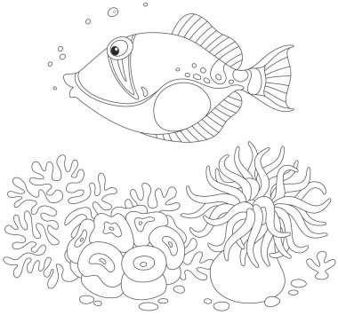 Trigger fish on a reef clipart