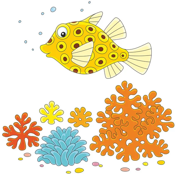 Yellow boxfish on a reef — Stock Vector