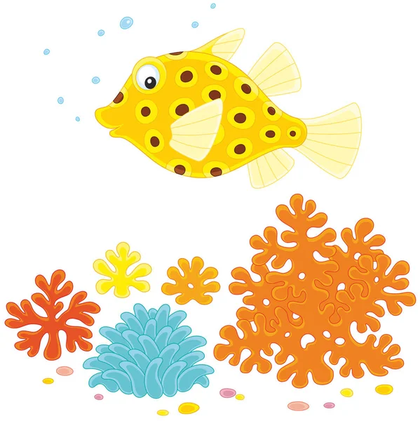 在礁石上的黄色鱼 — 图库矢量图片