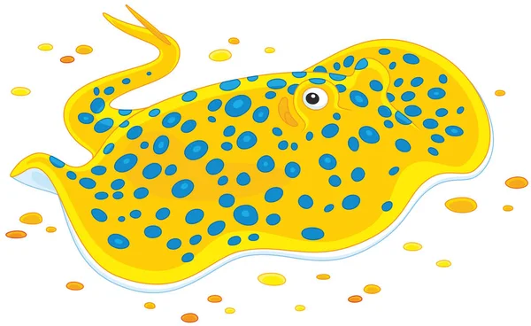 Spotted ray swimming — Stock Vector