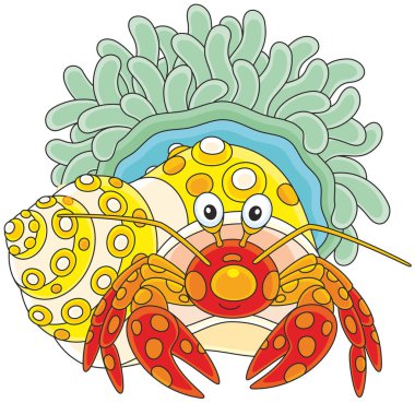 Diyojen-Yengeç ile bir actinia