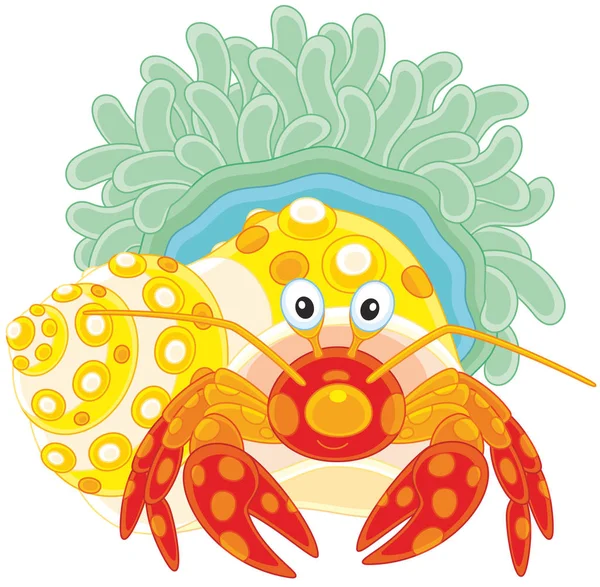 Diogenes-Krabbe mit einer Aktinien — Stockvektor