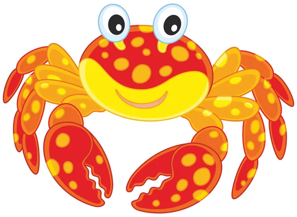 Red spotted crab — Stock Vector