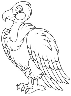beyaz başlı akbaba