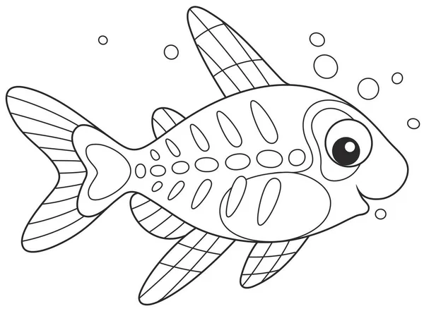 X 射线鱼 — 图库矢量图片