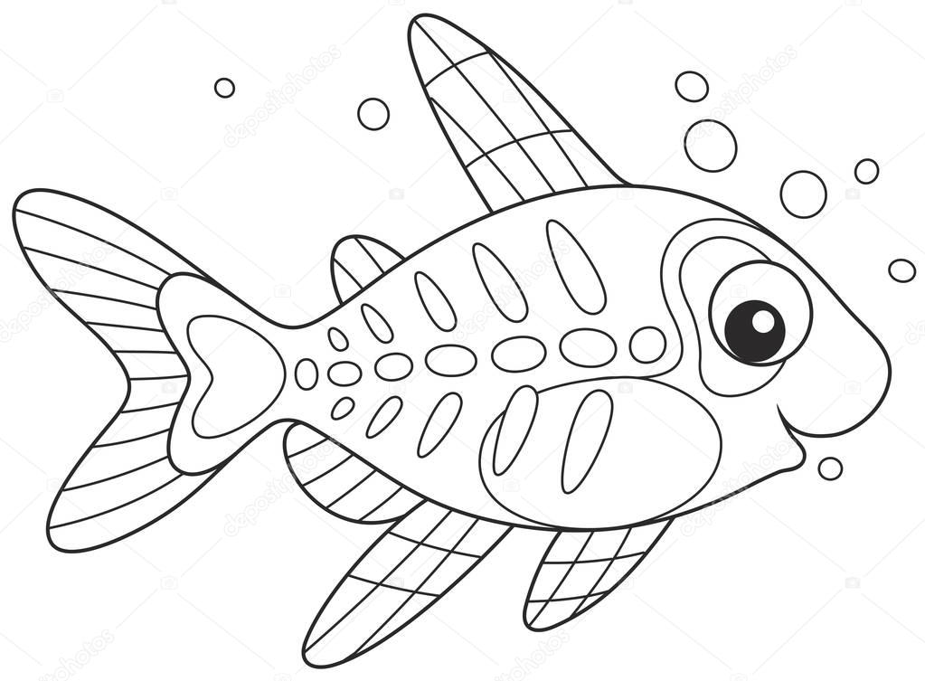 X ray fish