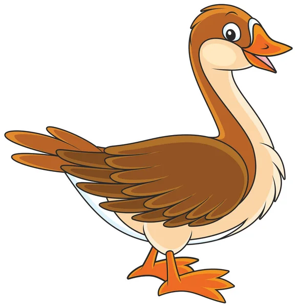 Binnenlandse Goose gekakel — Stockvector