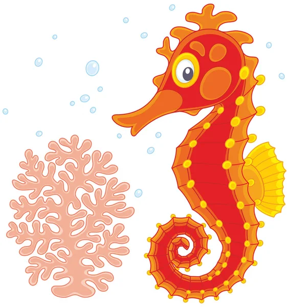 Red sea horse — Stock Vector