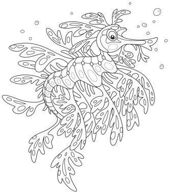 yapraklı deniz ejderhası