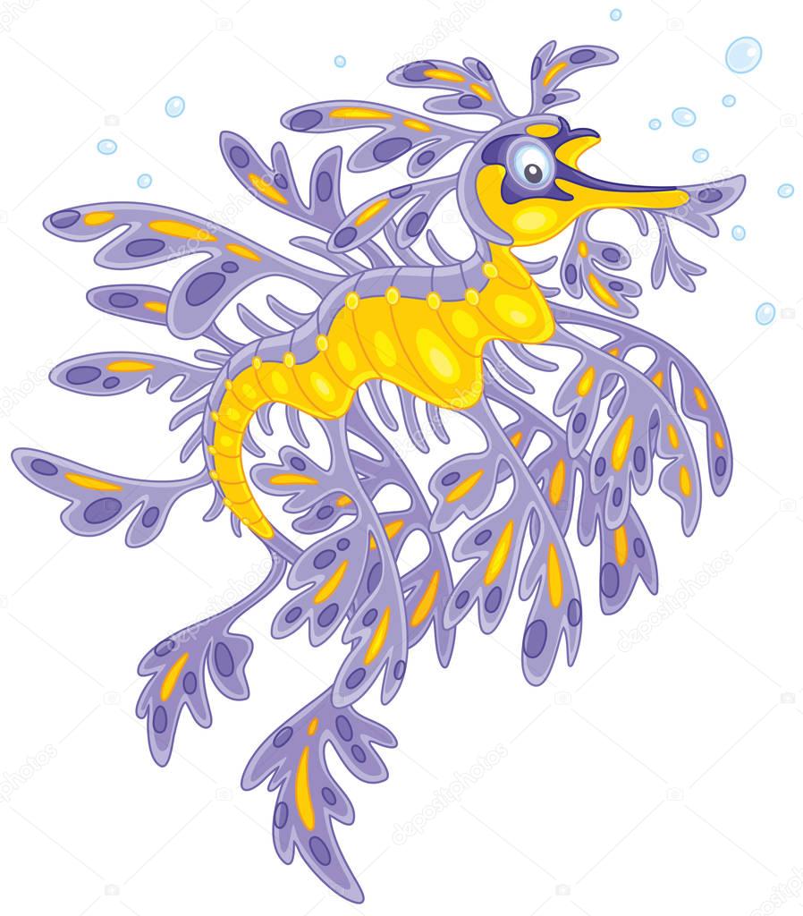 Leafy sea dragon